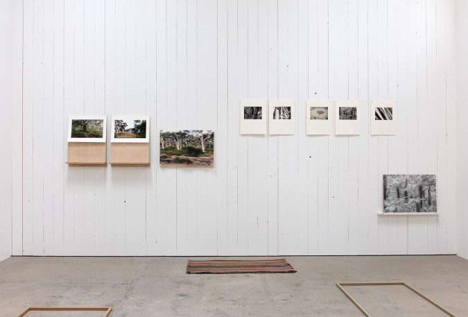 Installation view