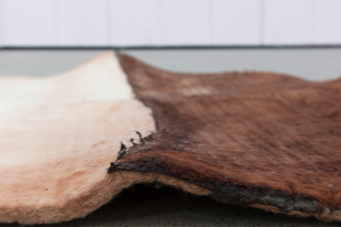 Fragment/01. Detail