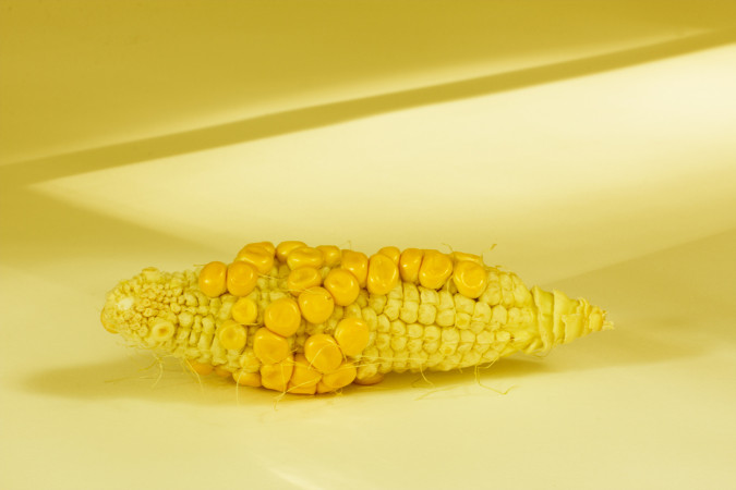 Corn 3