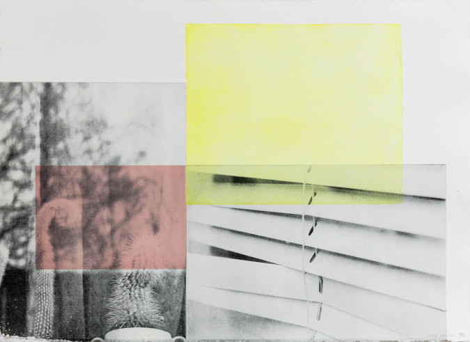 Loving soft rosa #12, Rives, 46x66 cm