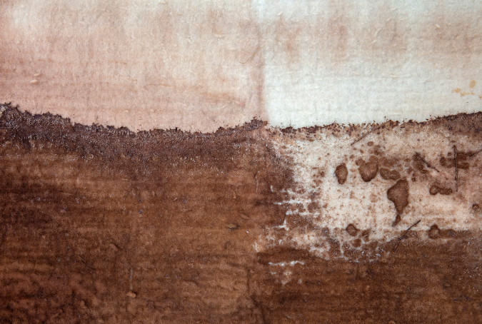 Fragment/01. Detail