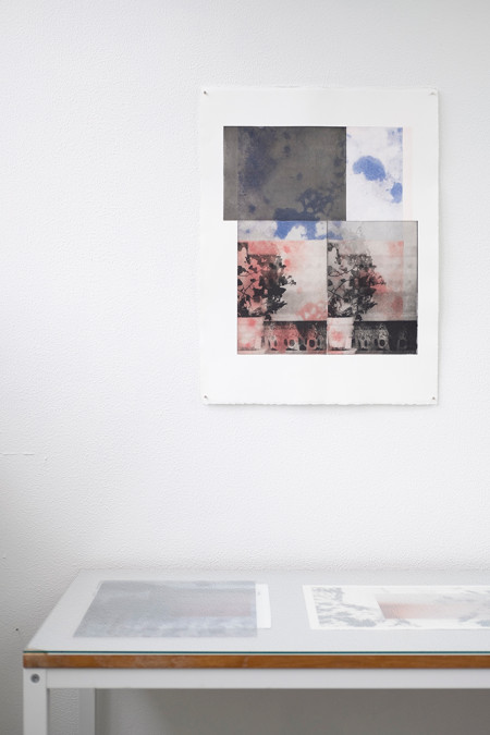 Loving soft rosa #10, Rives, 50x66 cm