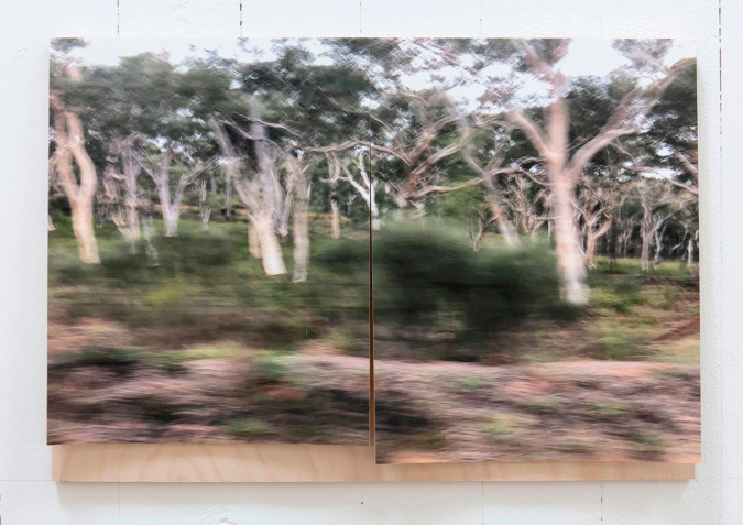 Landscape in motion. Digital print on plywood.