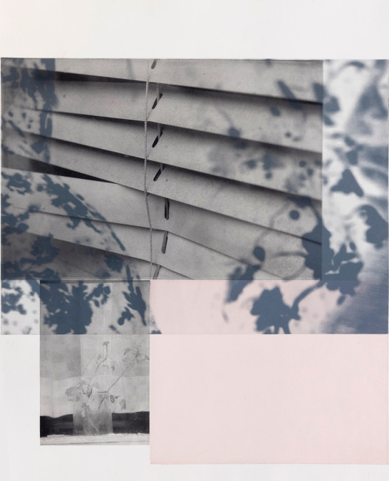 Loving soft rosa #13, Hahnemühle, 52X42 cm