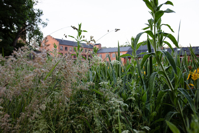 Bruunshaab Gl. Papfabrik, juni 2020. Foto Birgitte Munk