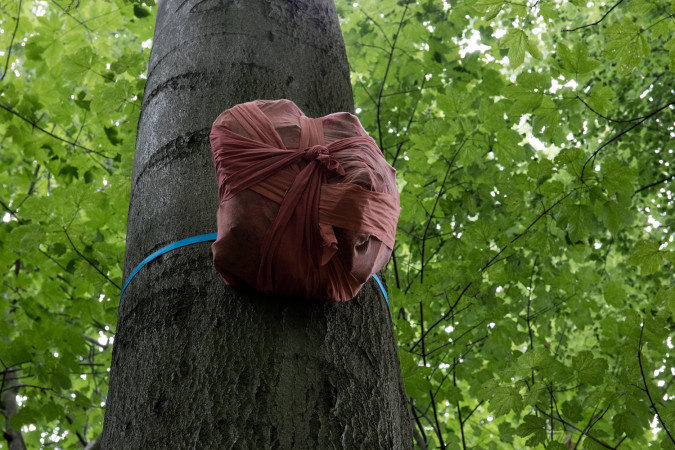 Site-specific installation interventions/wrappings in Riis Skov