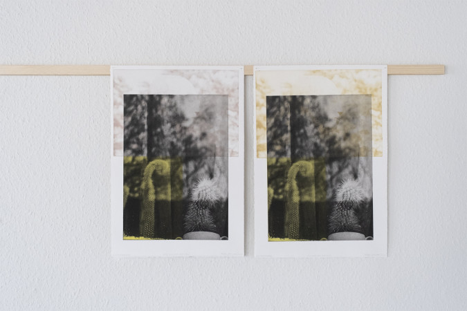 Loving soft rose #4.2_46x32. #4.2_46x32. E.T. Photogravure, BKF Rives. Munk&Jerichau 2020. Photo Birgitte Munk.