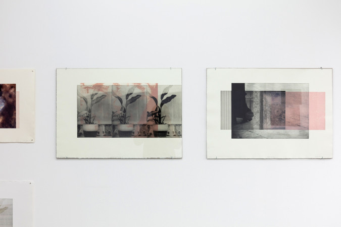 Loving soft rosa #2 and #7, Hahnemühle 48x68 cm